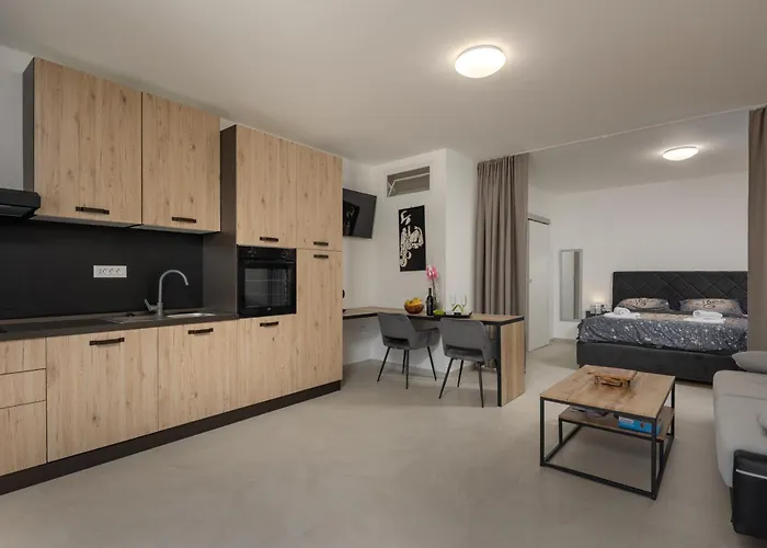 Vikys Place Apartment Kastav