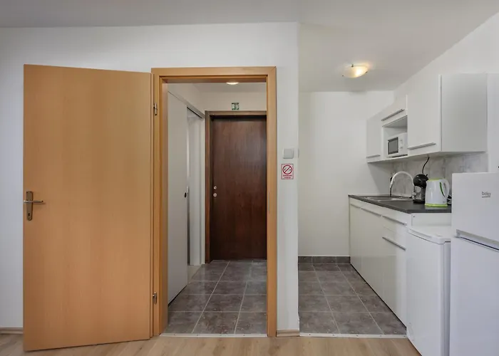 Vikys Place Apartment *