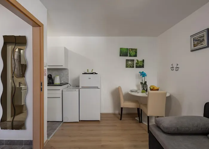 Apartment Vikys Place