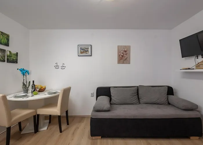 Apartment Vikys Place